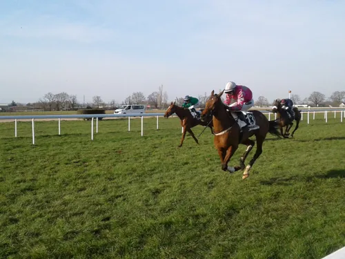 Hippisme : nos préférés pour ce dimanche 28 novembre